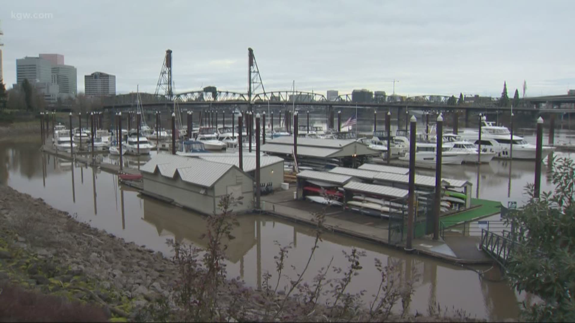 Multiple boat owners have reported break-ins in the last week and a half.