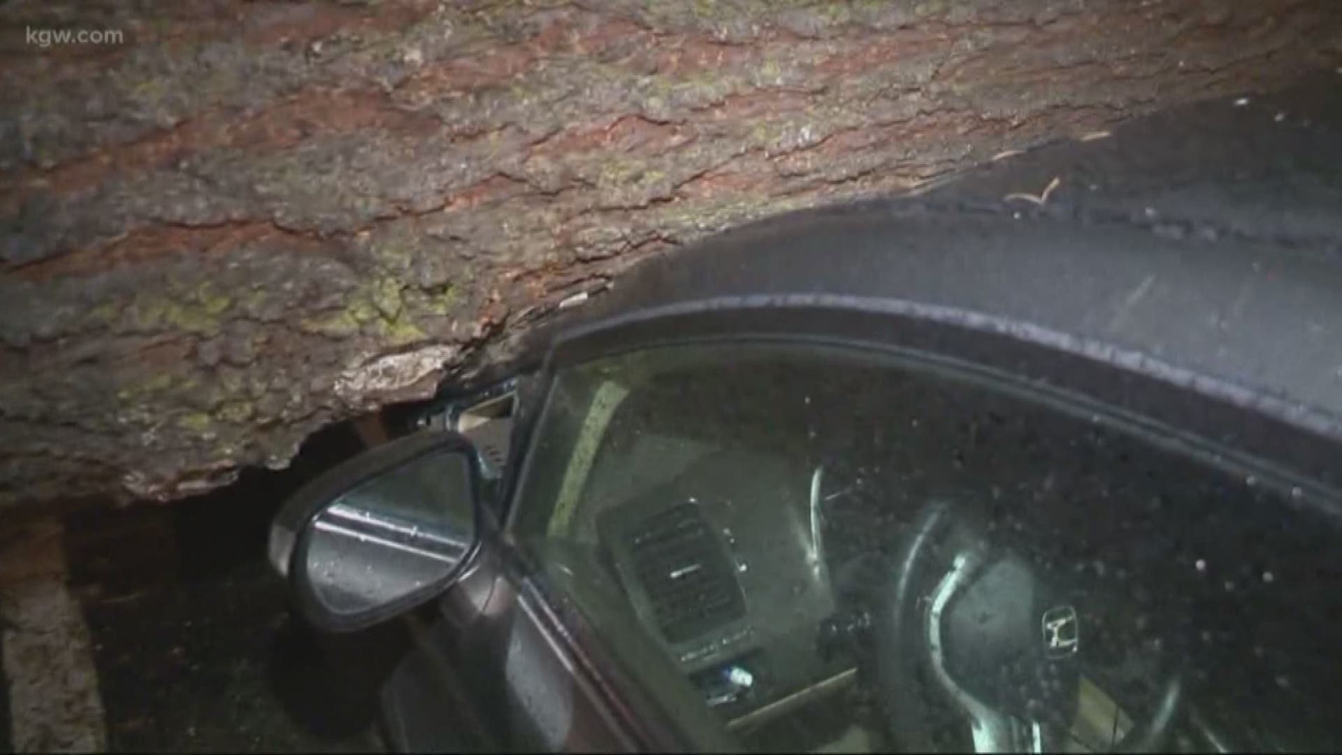 Strong winds cause power outages and damage across KGW viewing area.