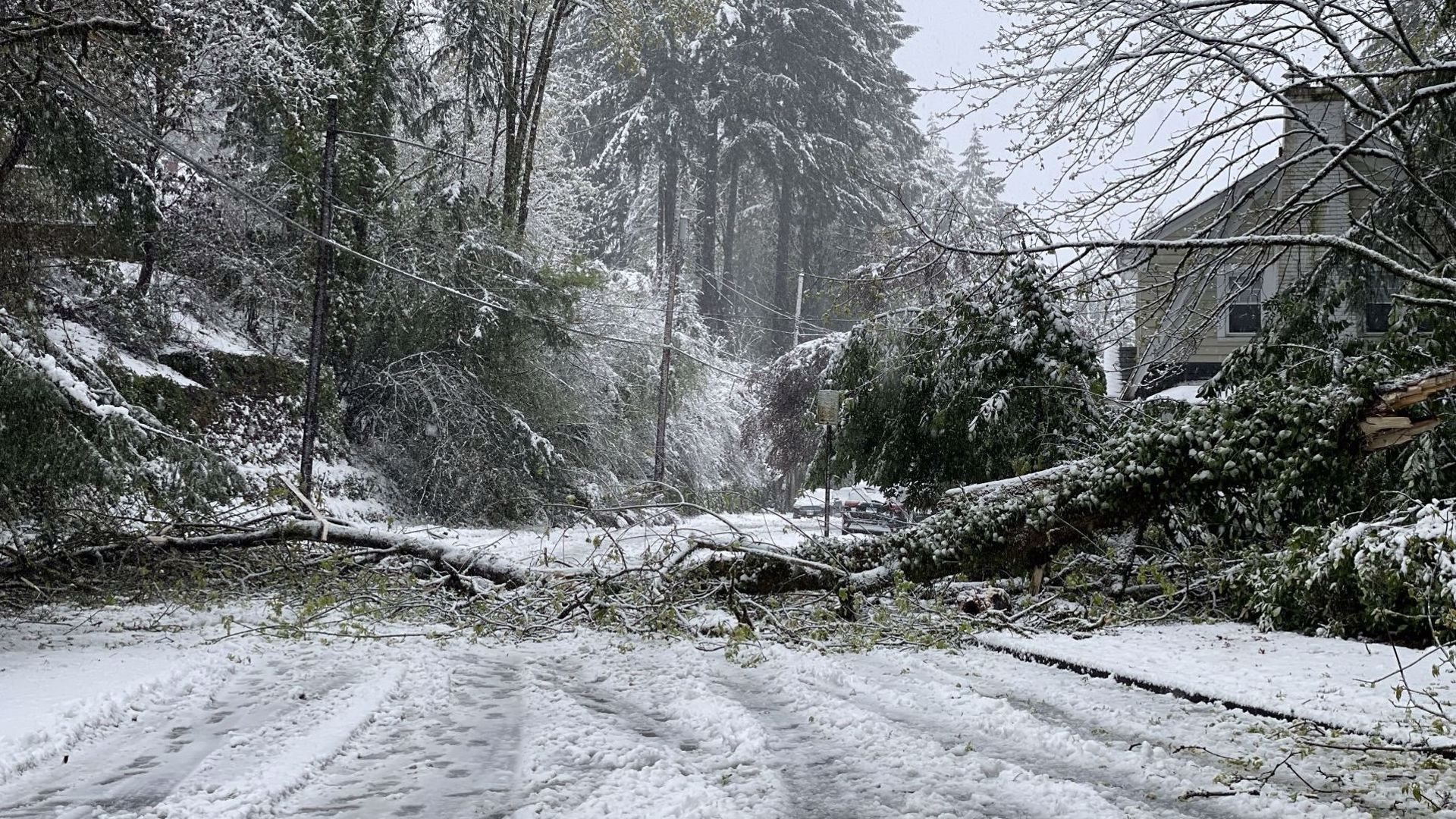 Snow in Portland in April: Here's what you need to know | kgw.com