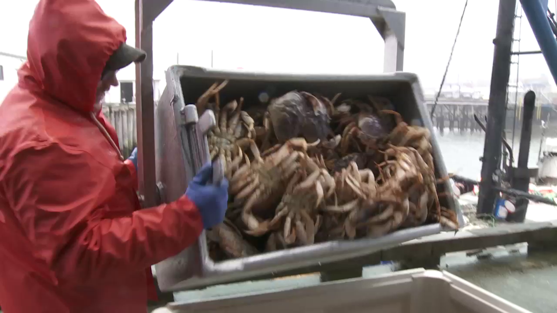 Jumi Link Oregon's commercial Dungeness crab season delayed