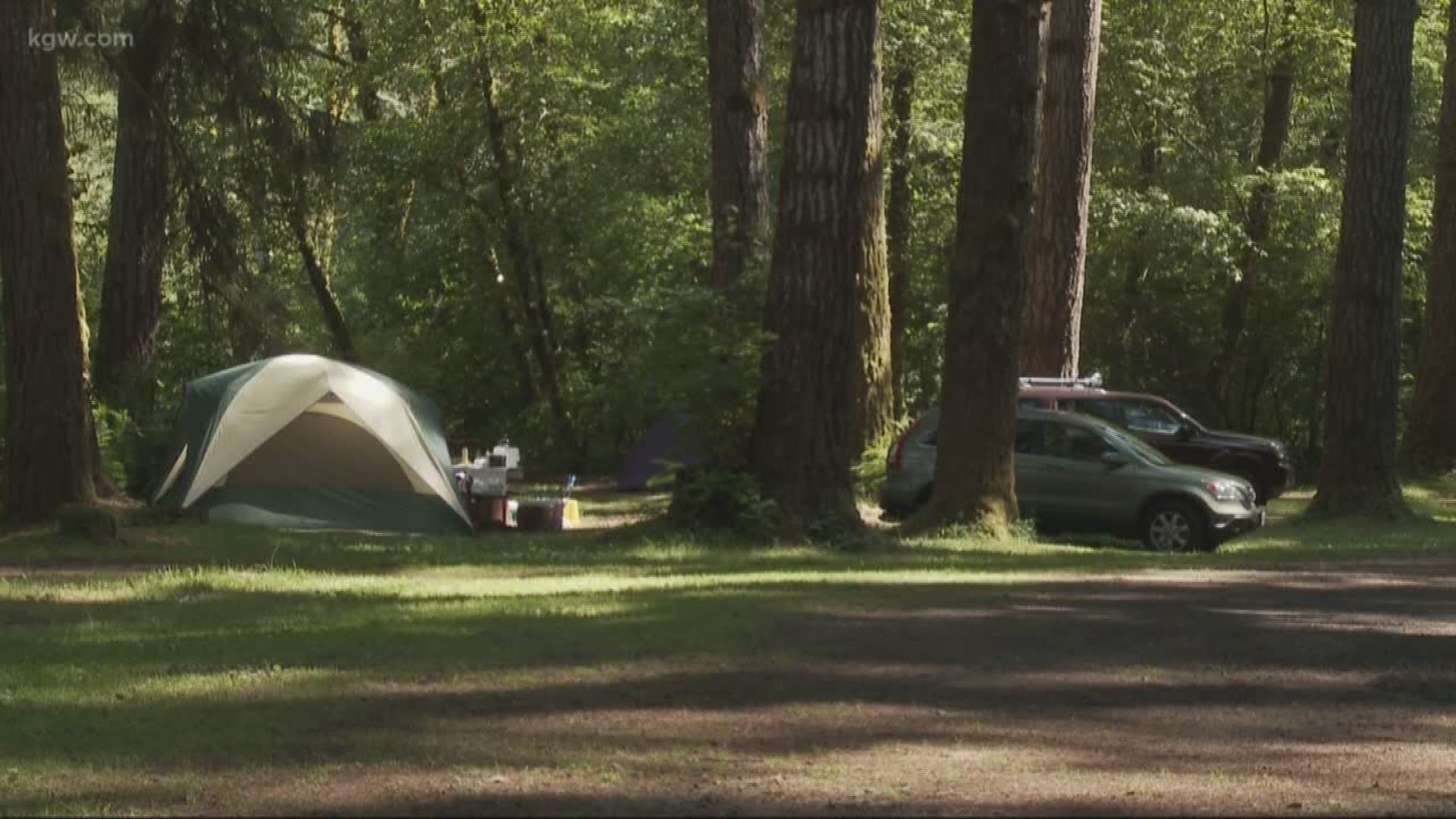 Grant's Getaways: Trask River Camping