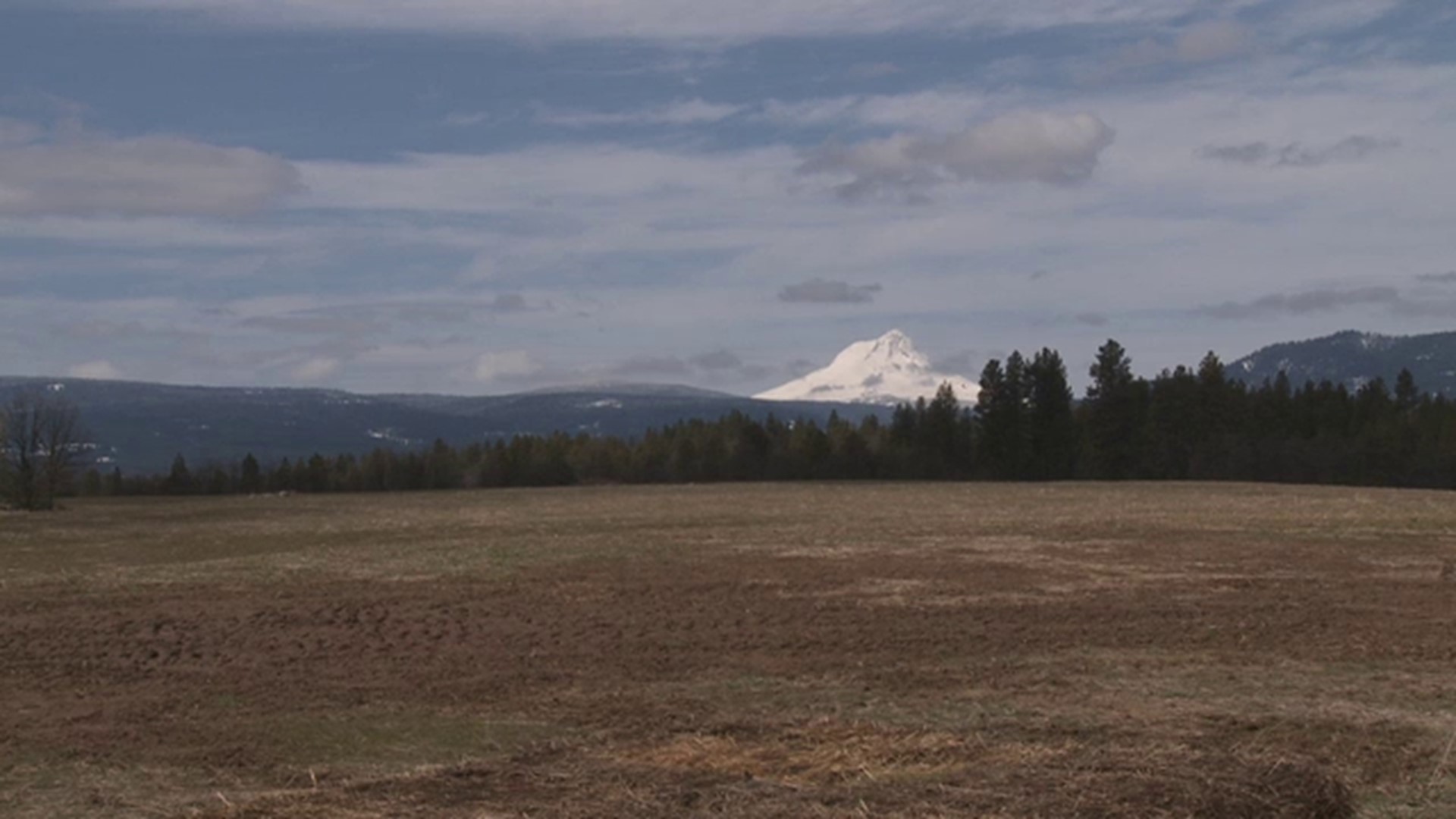 The other side of Mt. Hood Oregon's White River Wildlife Area