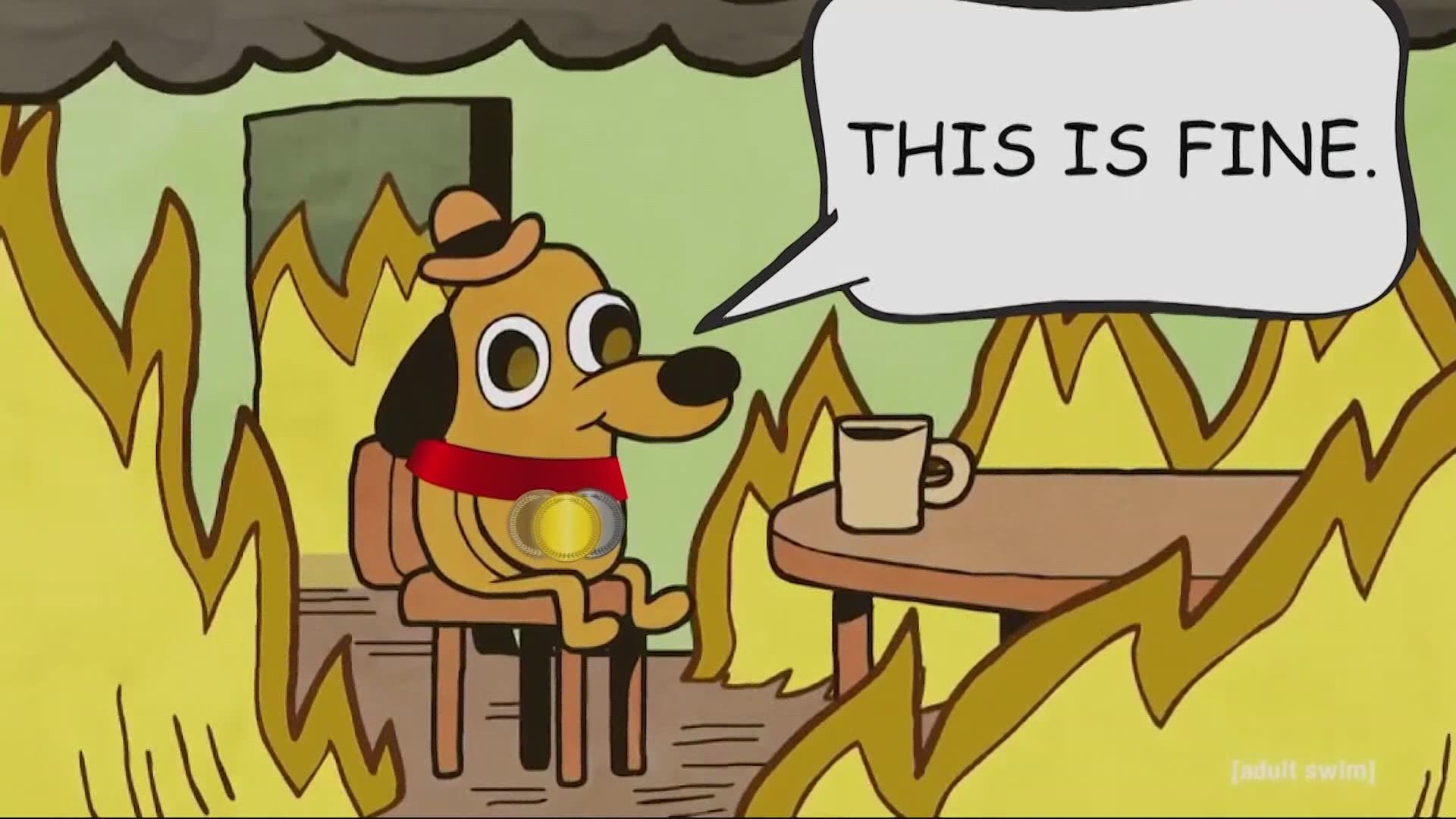 This is fine dog Memes and Images  Imgur