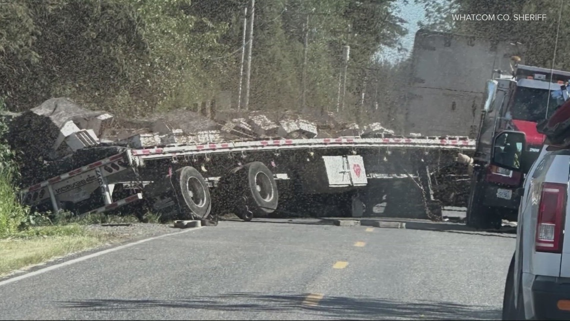 Truck Crash Releases 250 Million Bees Near Lynden Washington