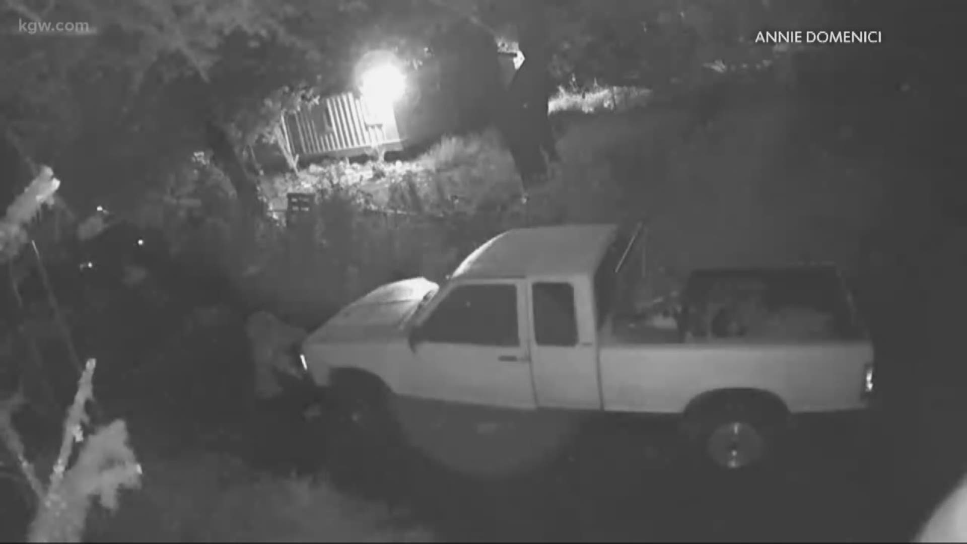 A lot of families are turning to video surveillance and live feeds to protect their property. But a North Plains couple found out that even catching criminals in the act doesn’t always end with the thieves behind bars.