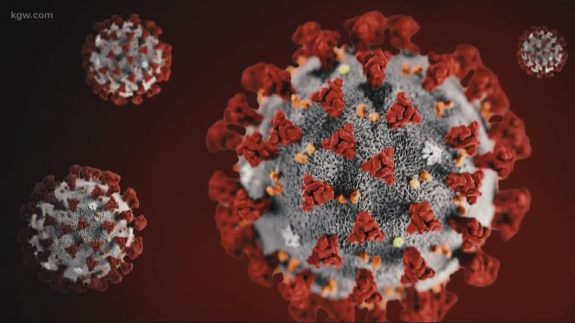 A Vancouver-based company believes it has the answer to fighting off the coronavirus.