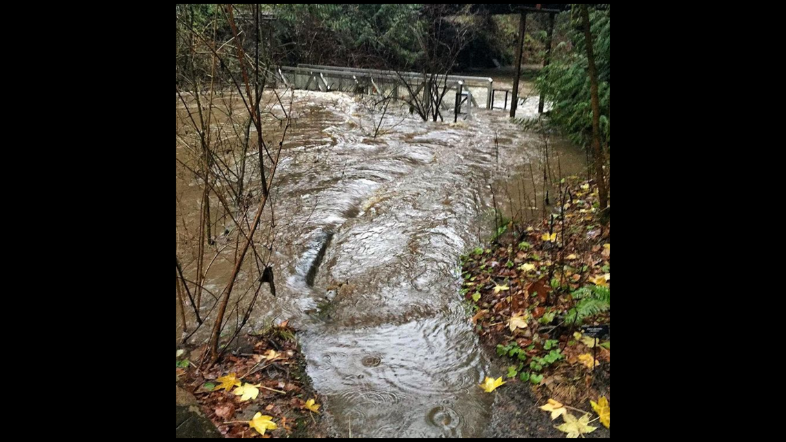 Heavy rains flood Johnson Creek, sweep away pedestrian bridge - Vimarsana News