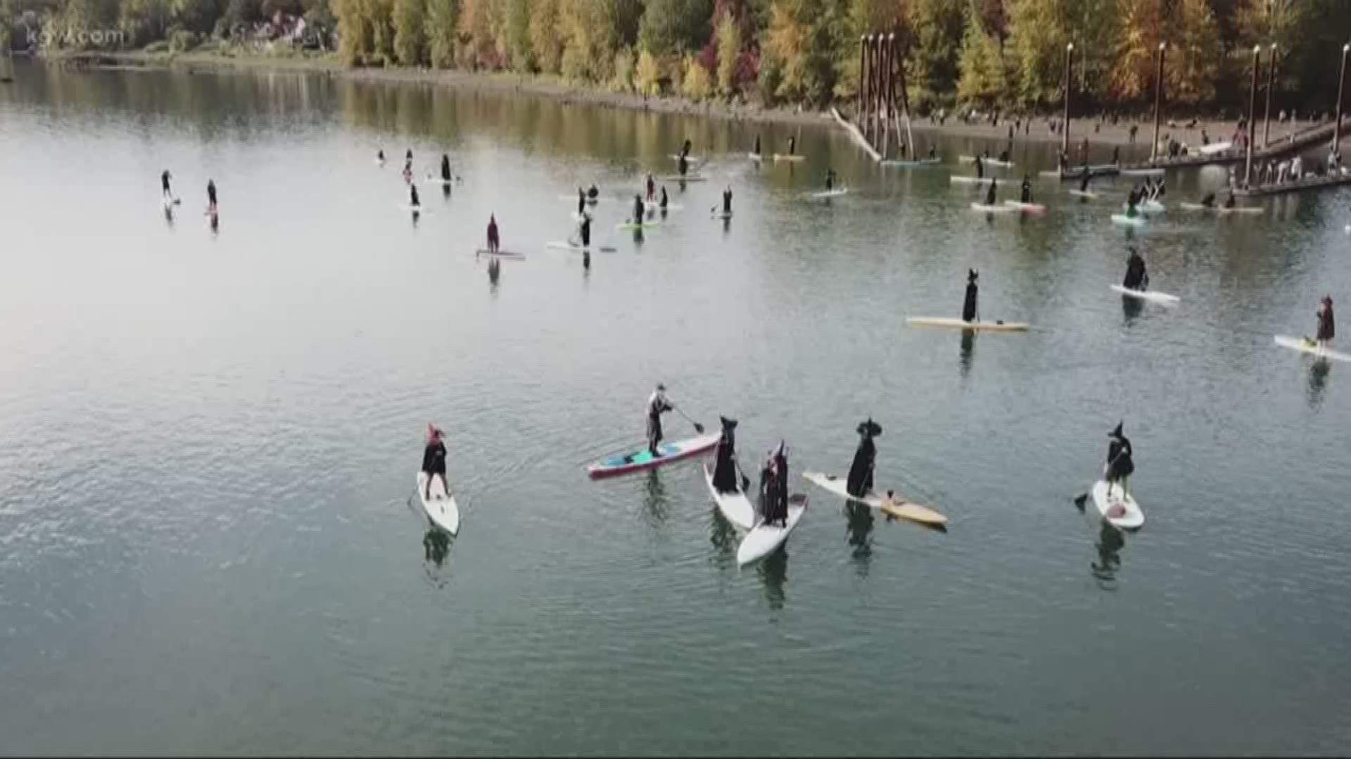 Looking for some last-minute fun this weekend? From a witches paddle on the Willamette to the Vegan Night Market, there's plenty to do in the Portland metro area.