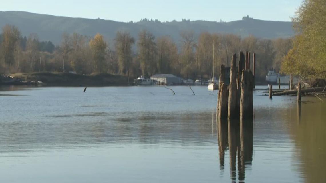 Sewage, rainwater overflows into Willamette River - Vimarsana News