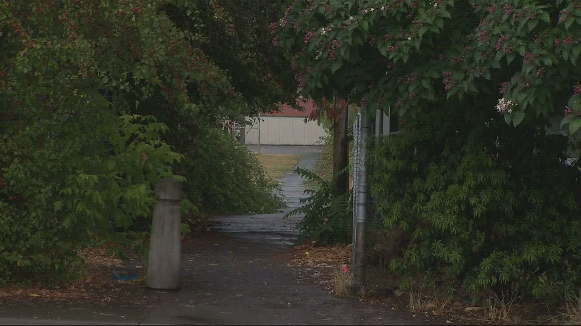 Man tries to lure 10-year-old girl into van in SE Portland | kgw.com