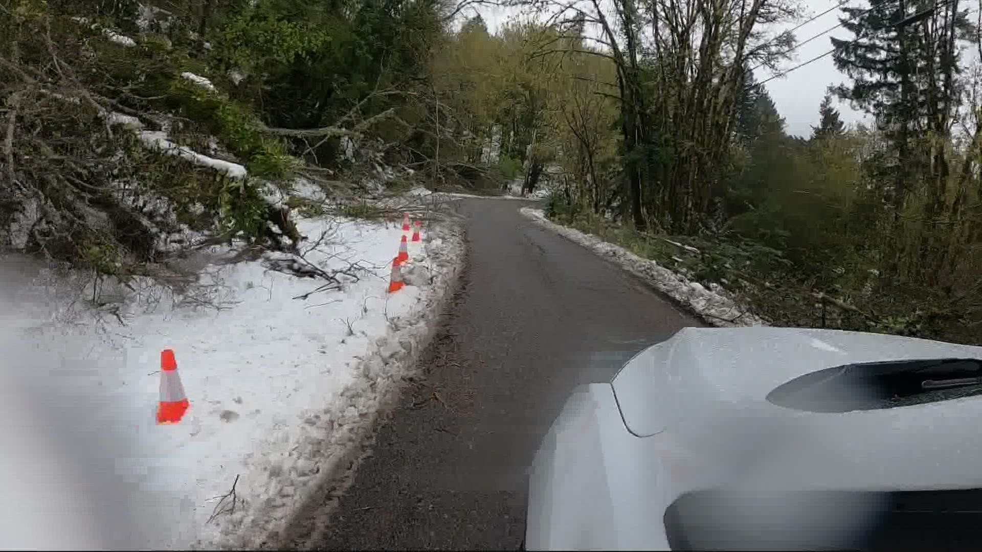Portland's West Hills area was the hardest-hit by Monday's winter weather because of all the trees, according to the Portland Bureau of Transportation.