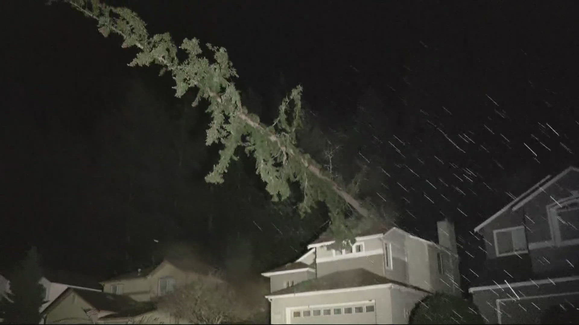 Strong gusts left debris in some spots, including a downed tree near Corbett on the Historic Columbia River Highway.