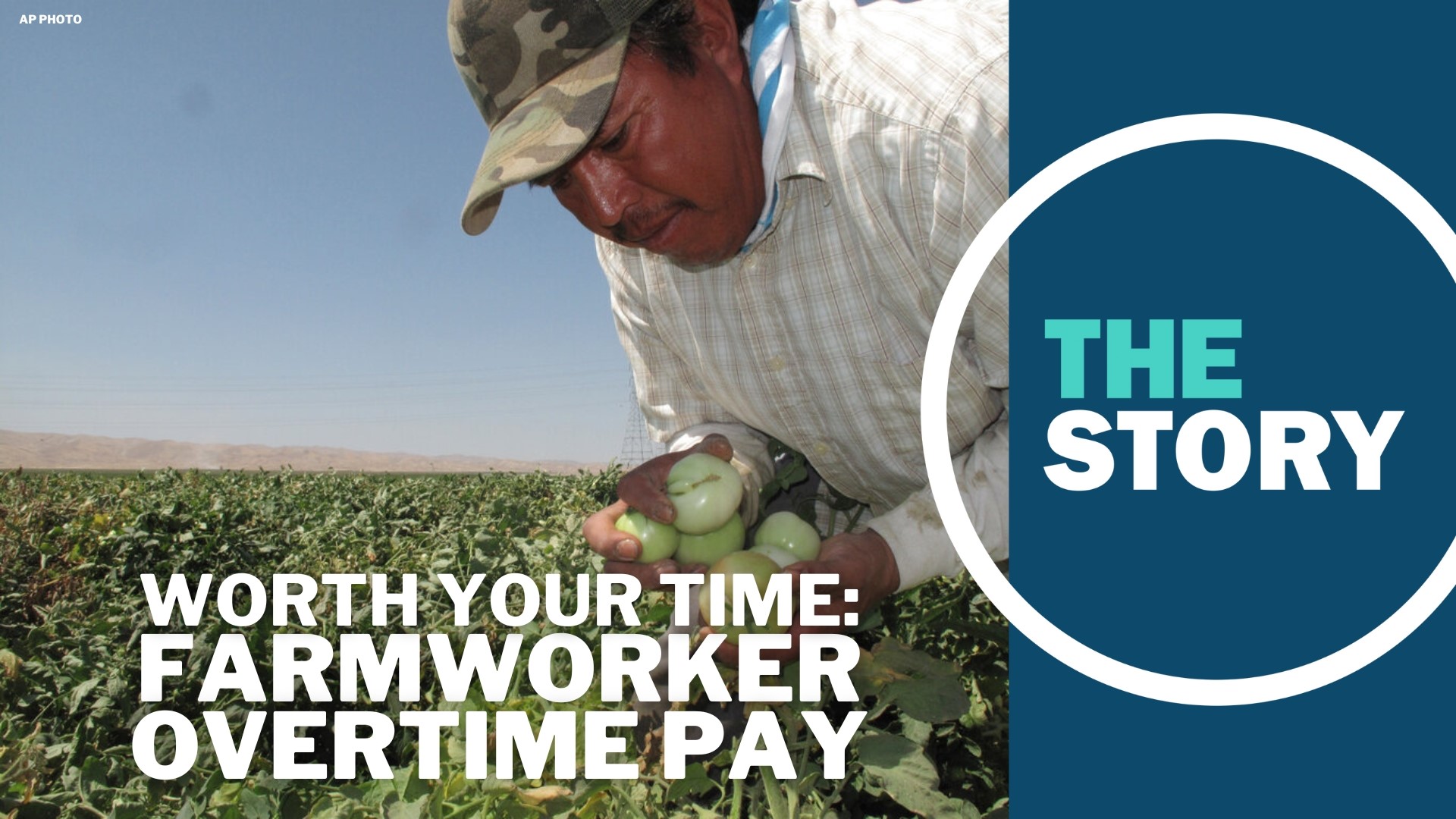 The Sacramento Bee spoke to California farmworkers about their state’s overtime law. We think it’s worth your time.