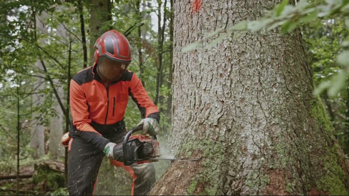 The court ordered the BLM to redo a controversial Oregon logging plan after an environmental challenge.