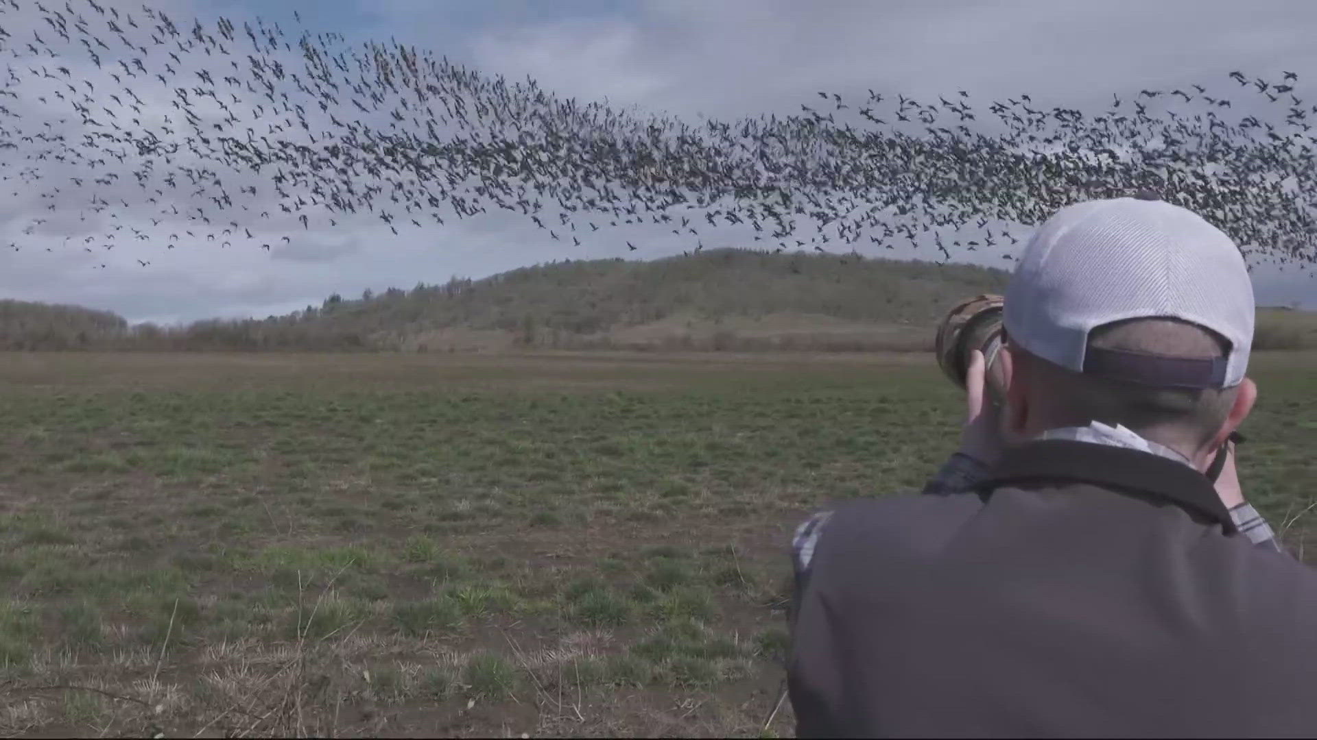 Baskett Slough Wildlife Refuge in Dallas, just west of Salem, is the perfect place for photographer and wildlife biologist Kelly Warren to capture waterfowl.