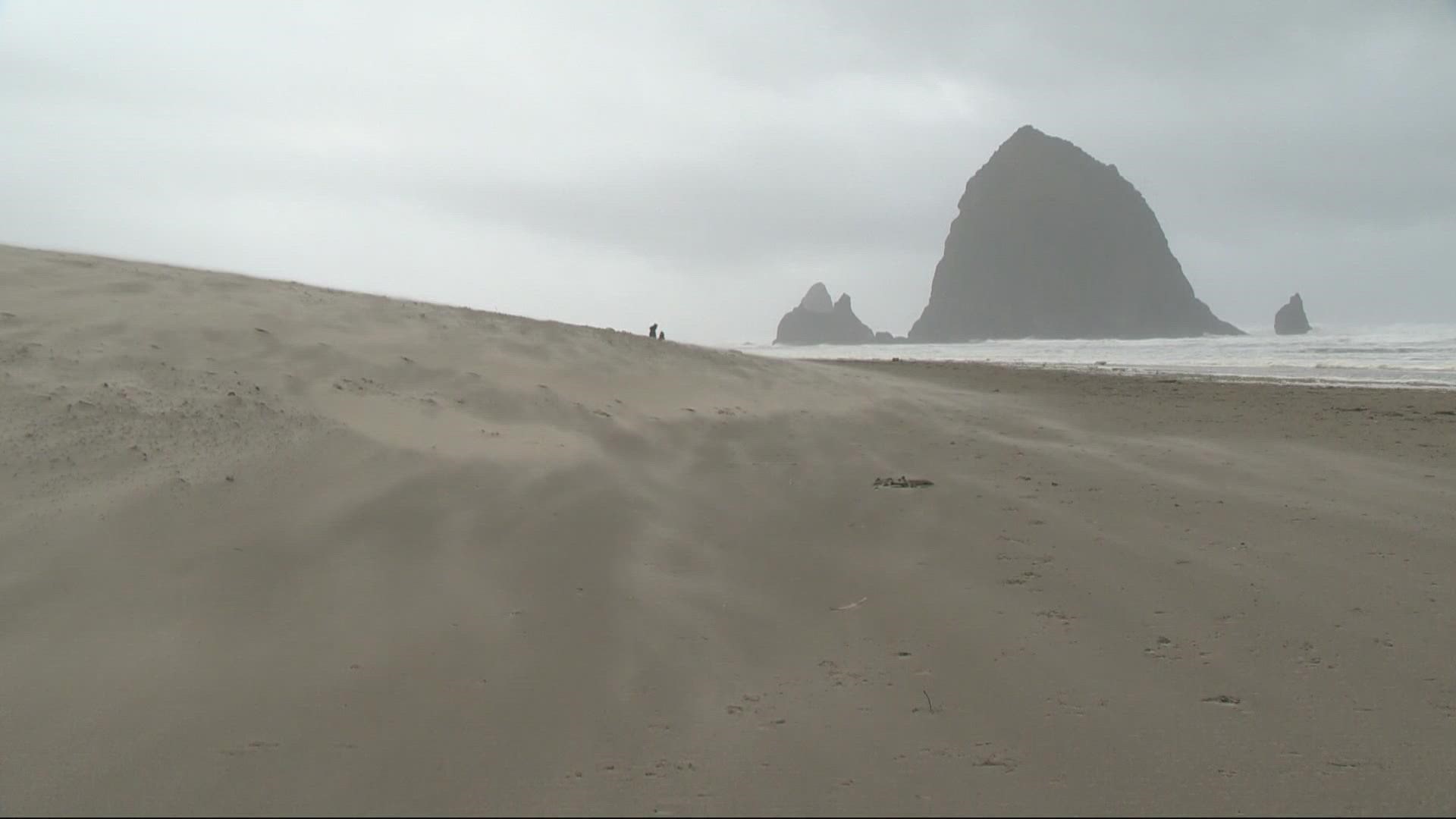 A record-low pressure system brought heavy wind and soaking rain up and down the west coast. Oregon coast residents and visitors recount the spectacle.