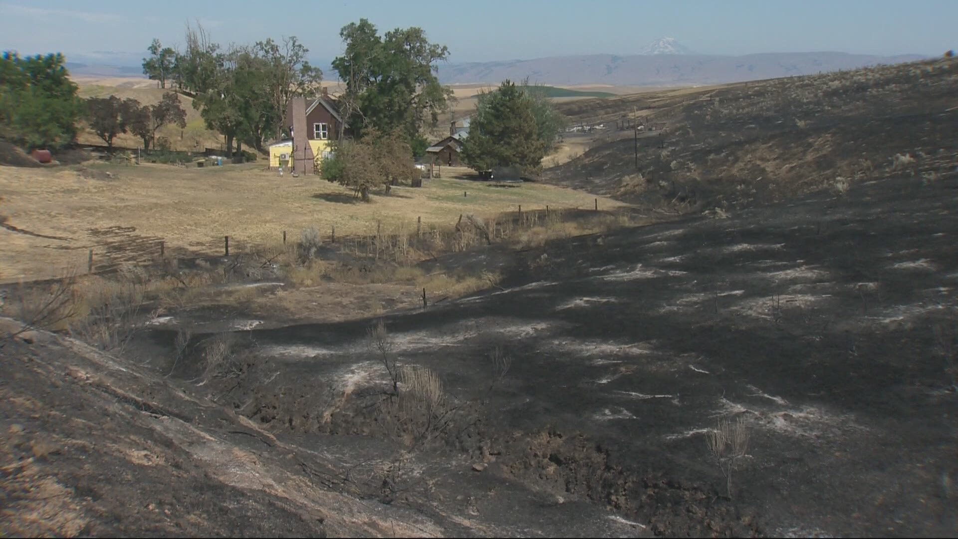 Several wildfires are burning in the state including the Wrengtham Market Fire east of Dufur. Christine Pitawanich has a look at the firefighting effort.