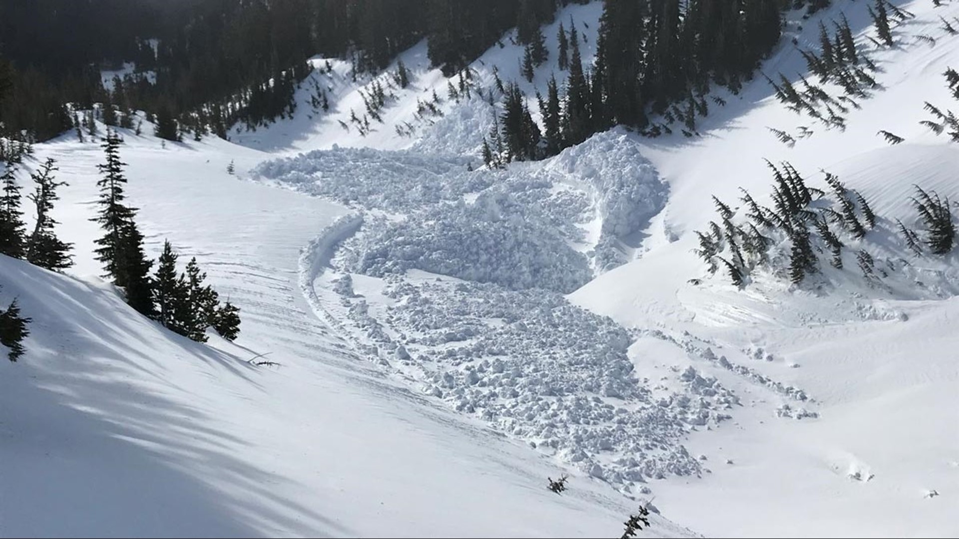 Mt. Hood Meadows triggers massive avalanches, closing off popular ...