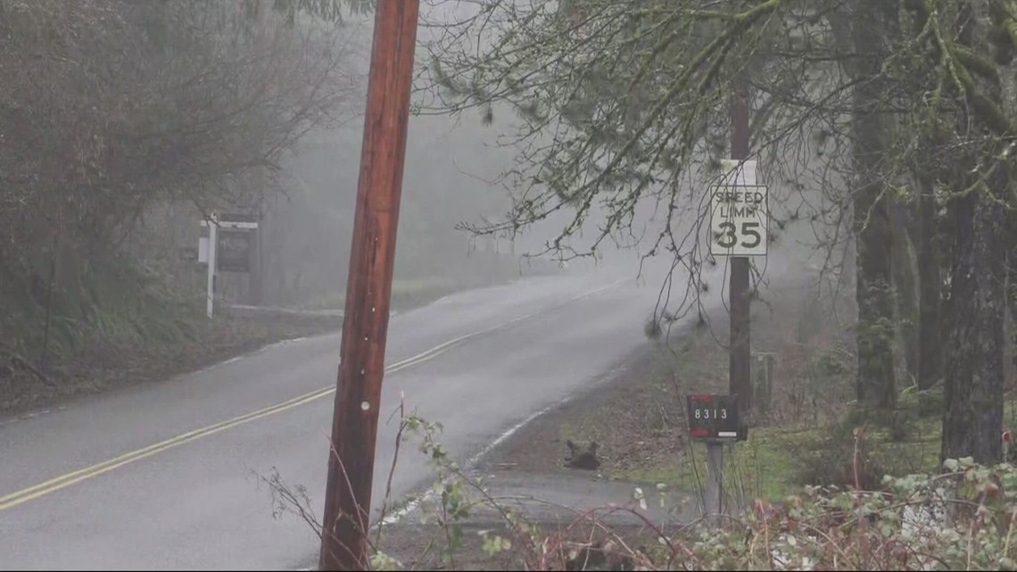 Victim of Northwest Portland home invasion speaks out