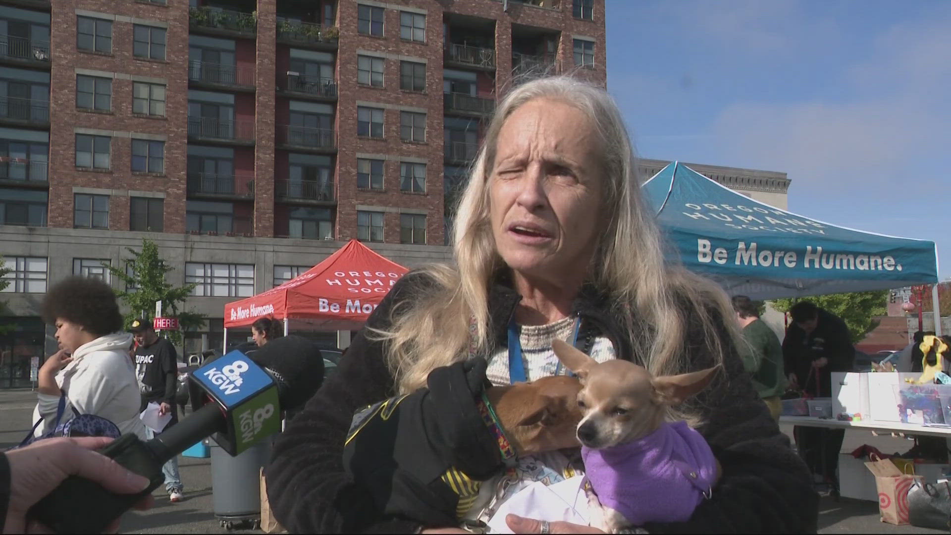 Free pet clinic held for homeless people in Portland