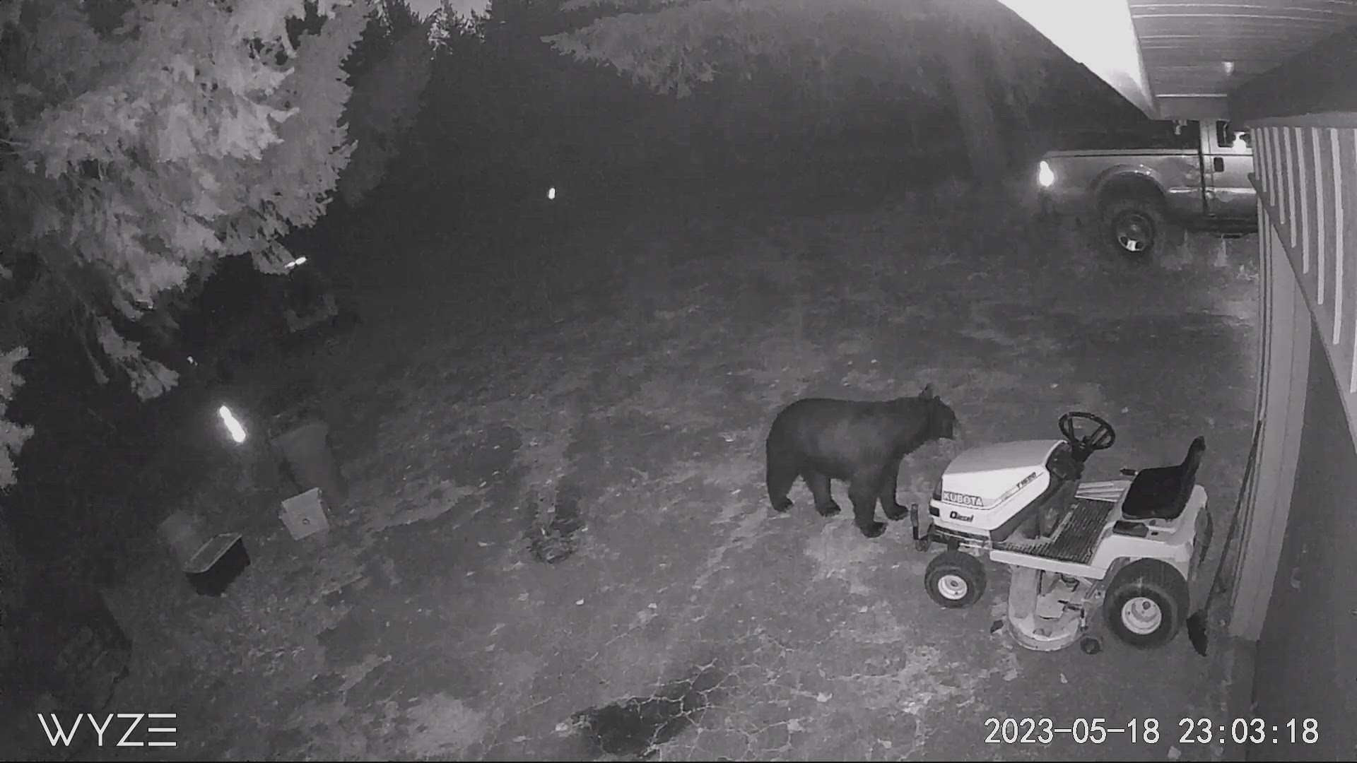 Wildlife officials are asking neighbors to remove bird feeders, beehives and garbage cans to help prevent bears from coming onto their property.