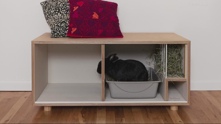 Portland woman starts eco-friendly functional furniture for rabbits and humans