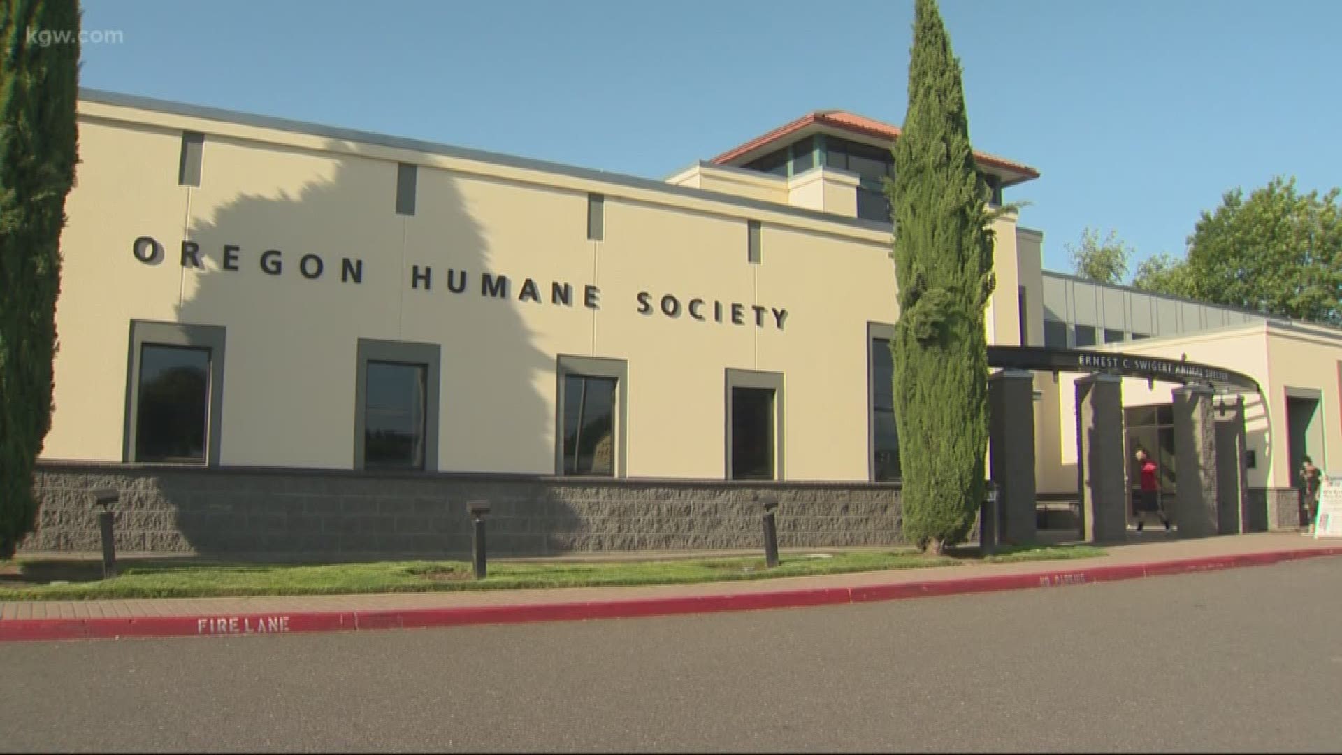 The Oregon Humane Society has temporarily put a stop to all dog adoptions after learning a group of dogs was exposed to dog flu.
