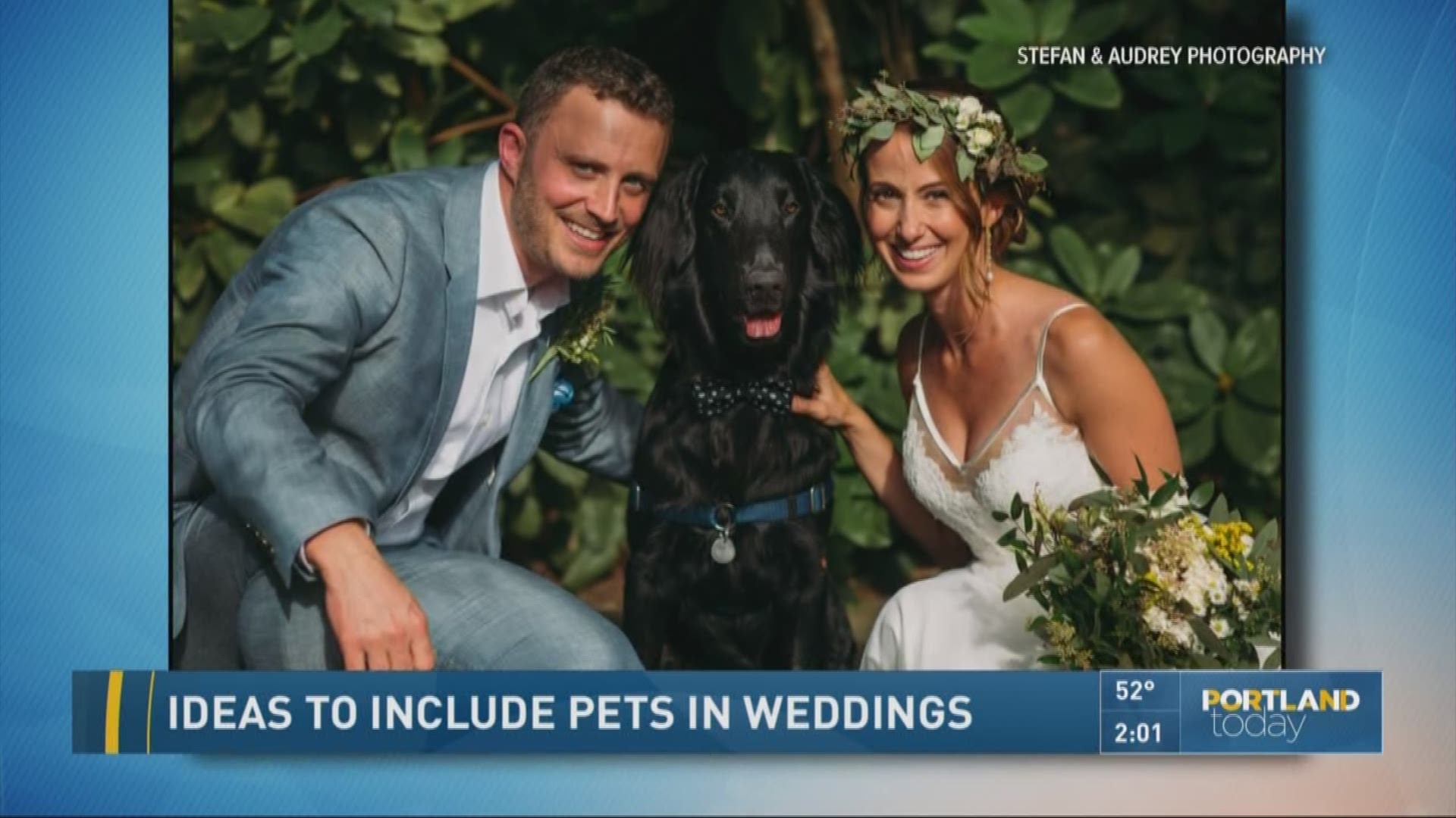 Ideas to include pets in weddings