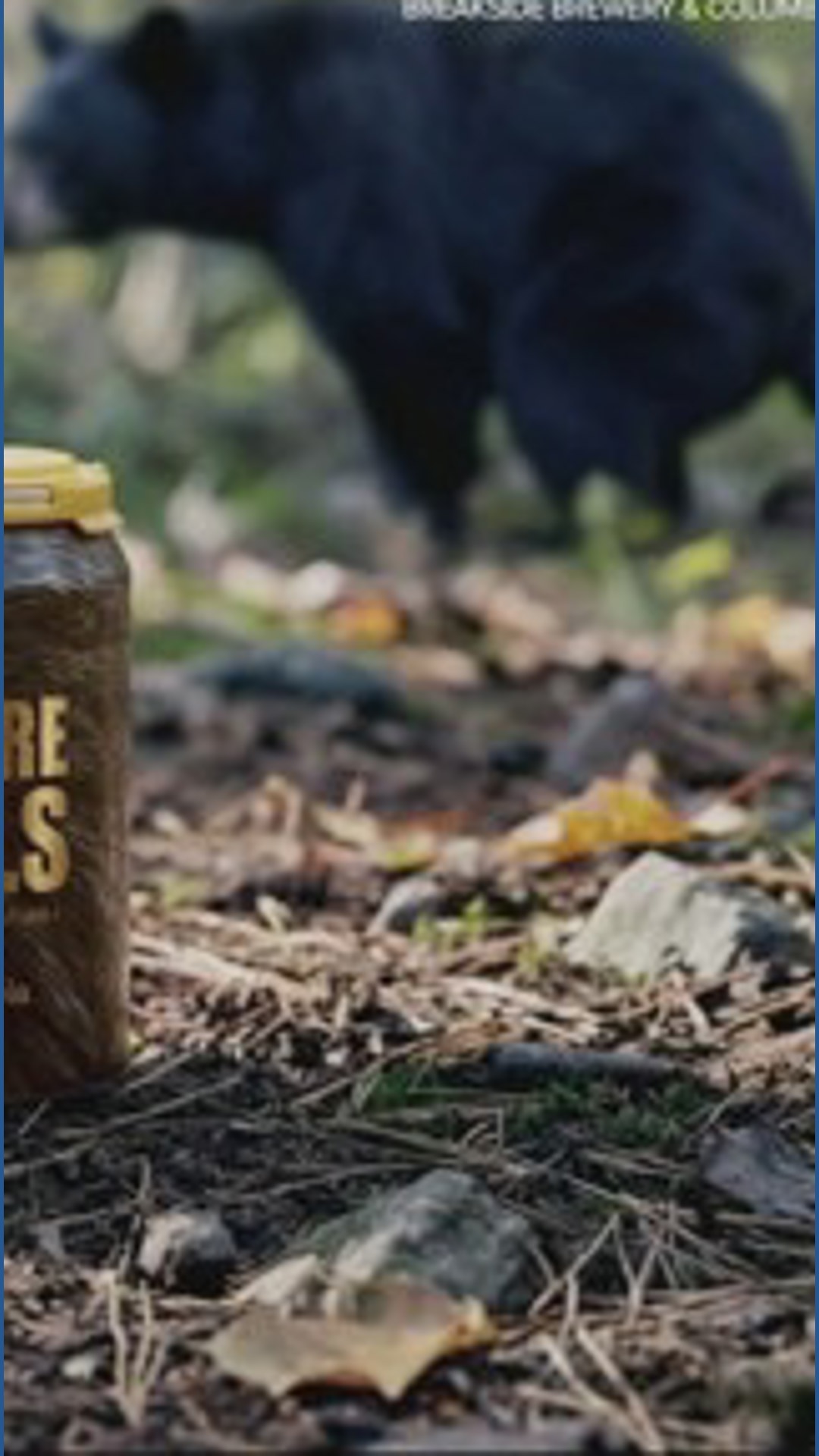 Bear poop in my beer? Columbia Sportwear and Breakside Brewing launch ...