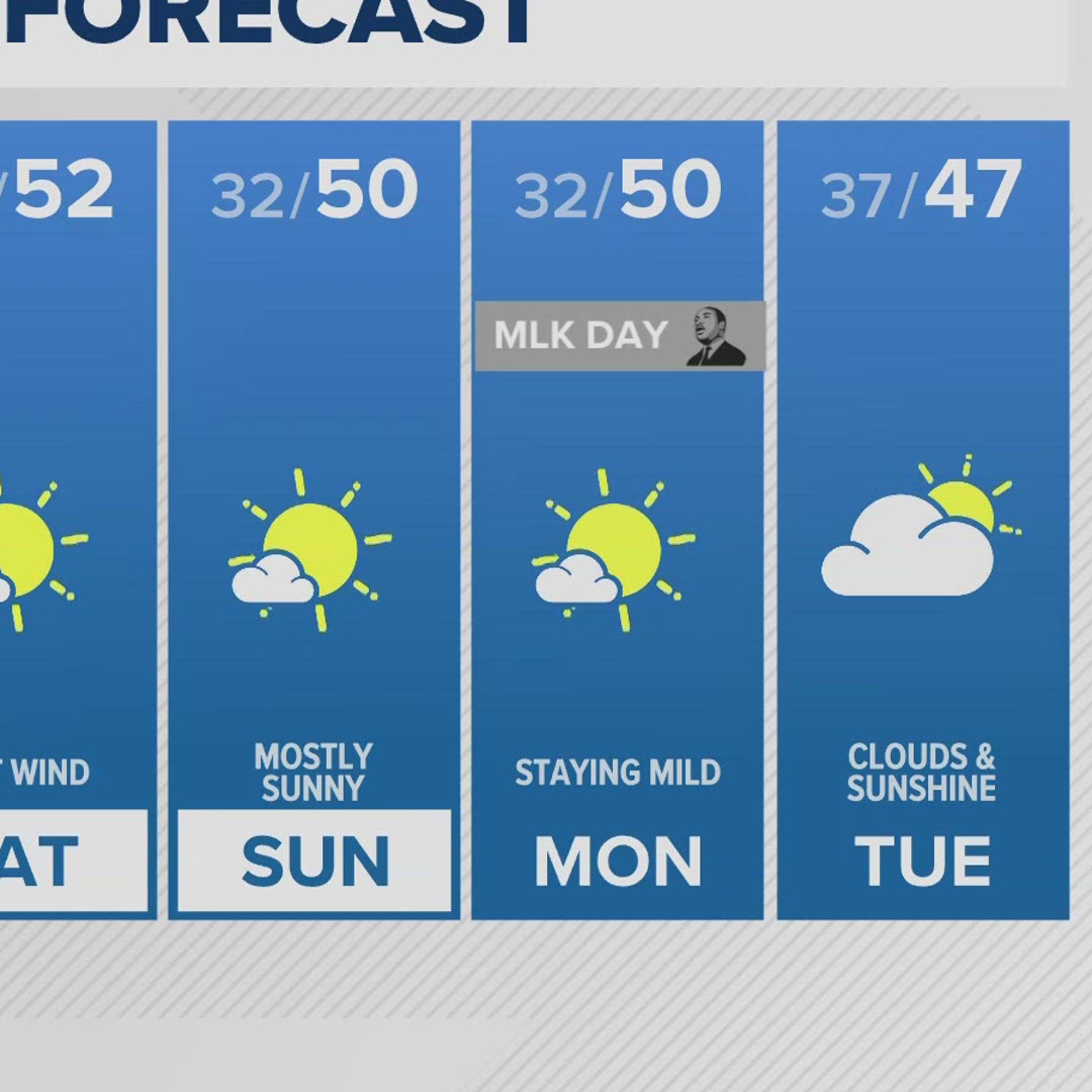 Weather Cam at Government Camp