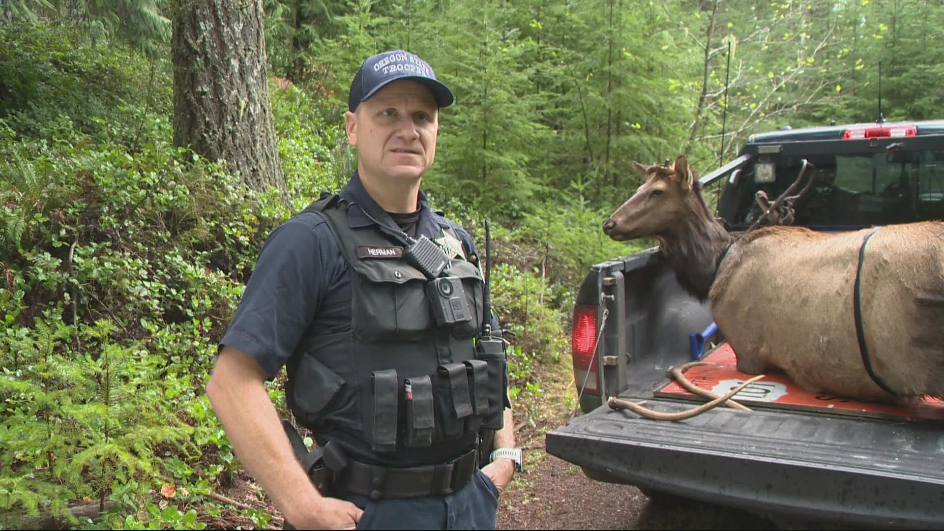 Data provided by Oregon State Police Fish and Wildlife Division show more than 110,000 animals were illegally harvested between 2012 and 2020.