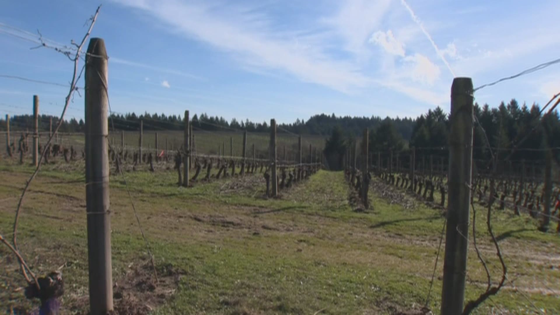 �Wine Spectator� raves about Oregon wines