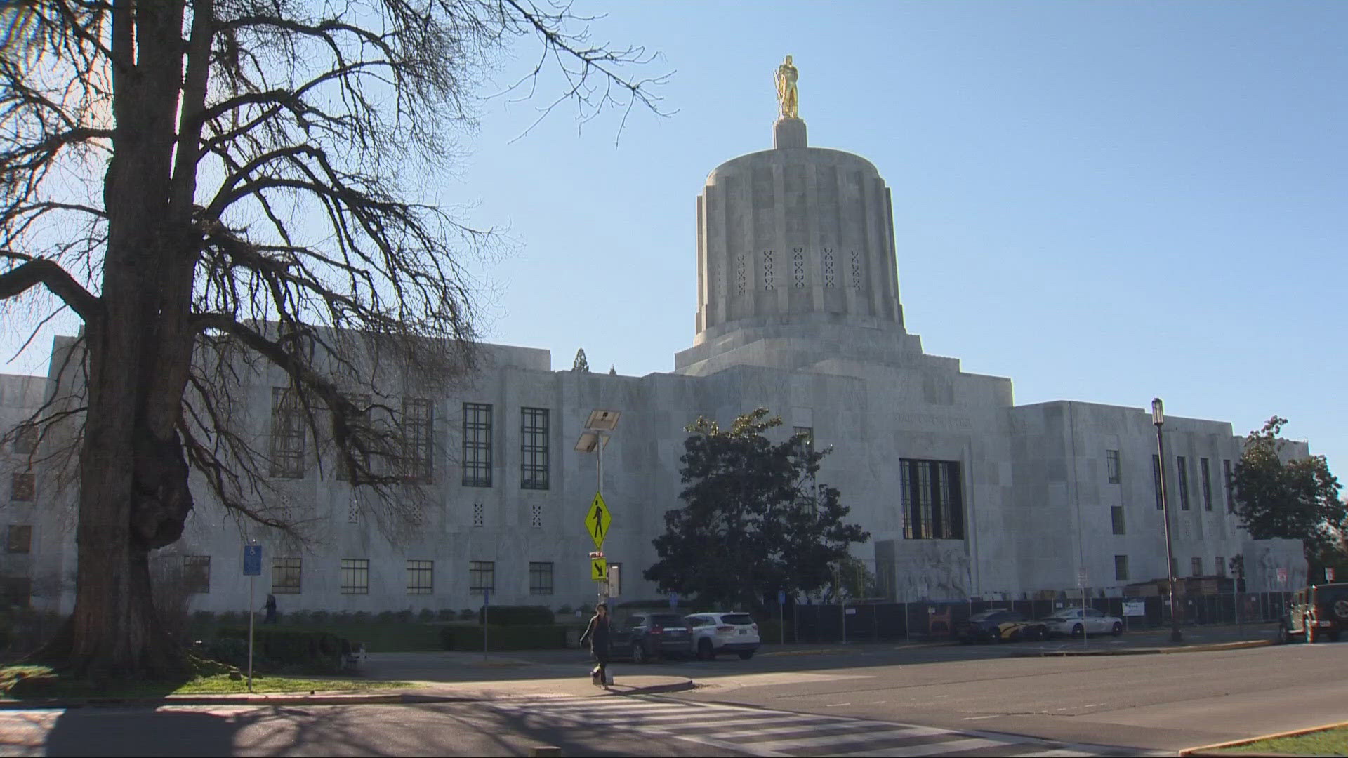 Democrat Lesly Muñoz will defeat incumbent Republican Tracy Cramer for Oregon House District 22 in Marion County, The Oregonian projected.