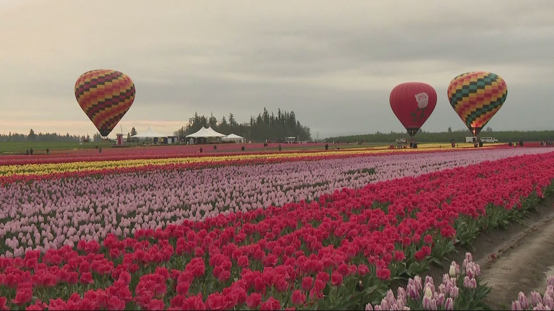 From Wooden Shoe Tulip Festival to Portland Night Market: 8 things to do this weekend