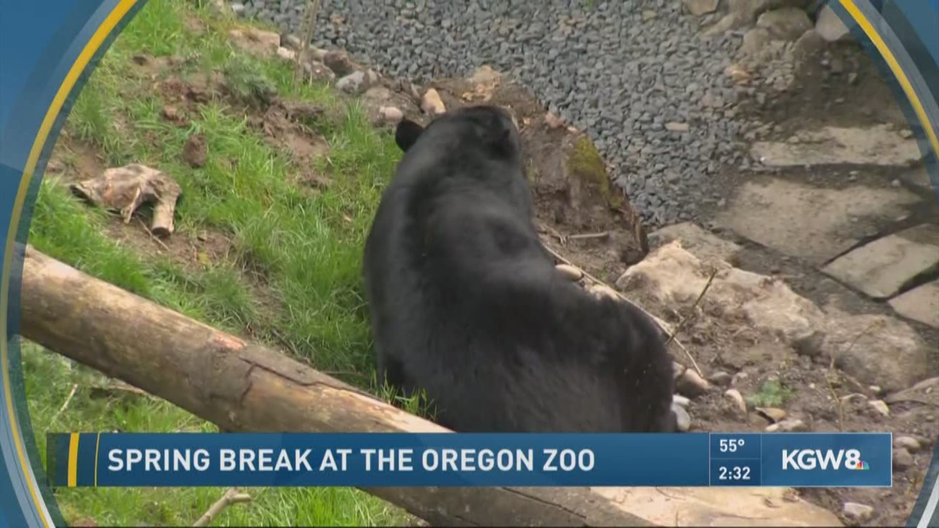 Peggy Bodener with the Oregon Zoo