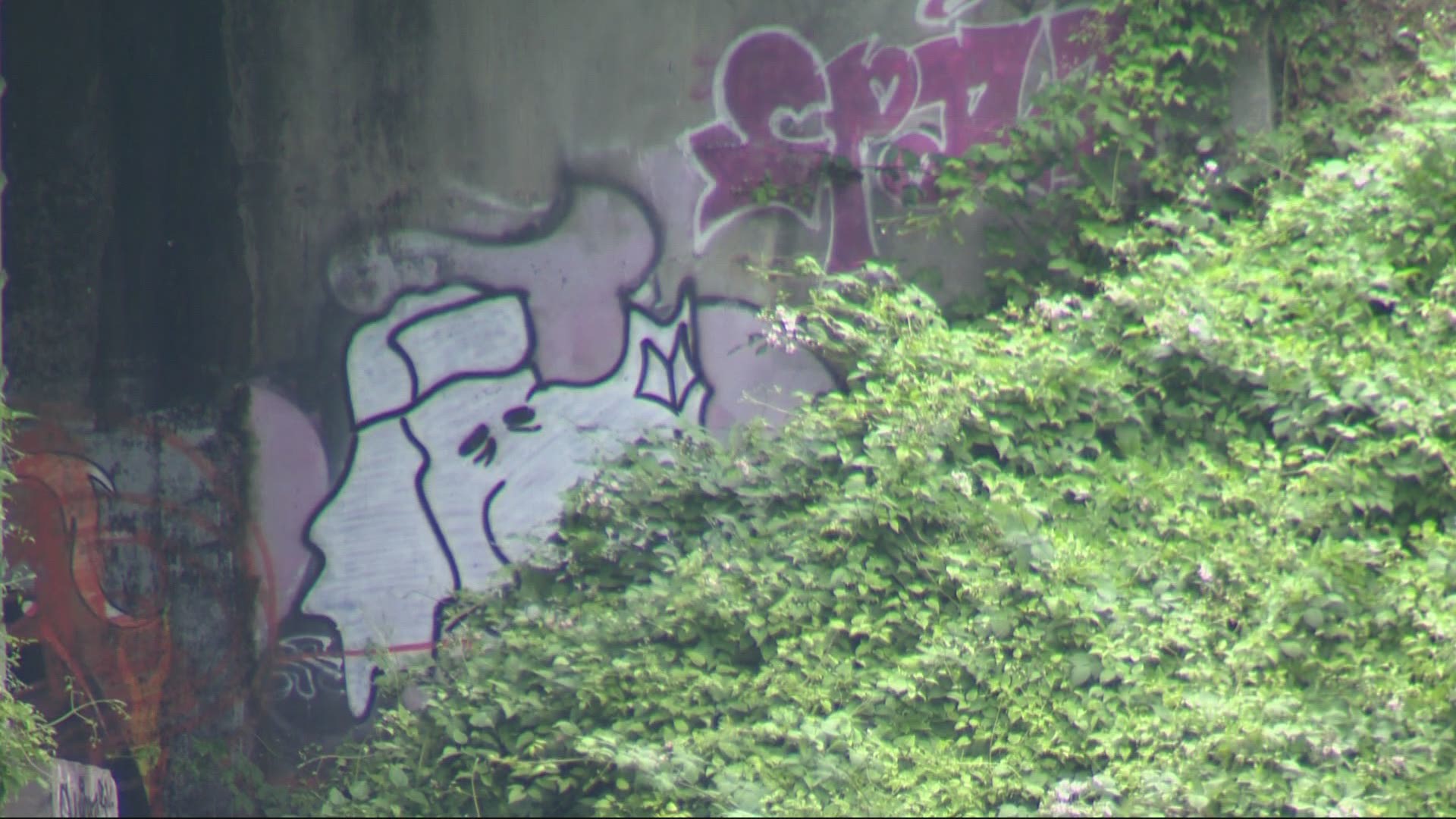 ODOT said the graffiti problem is getting worse along freeways. Crews have seen graffiti reappear within days of covering it.
