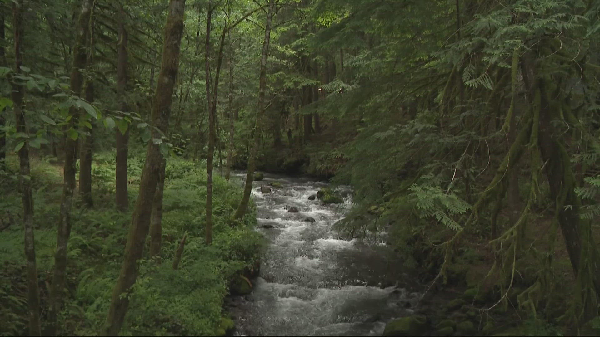 The legislation would require the sale of up to 3 million acres of public land managed by the Bureau of Land Management and the U.S. Forest Service.