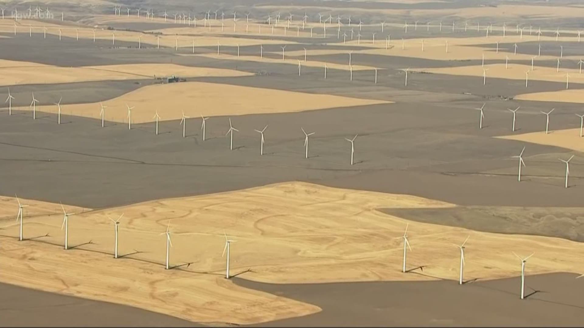 Eagles are getting some protection from wind turbines.