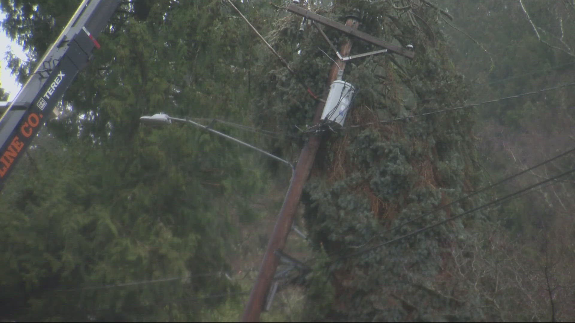 Windstorm threatens power outages, downed trees in Portland metro | kgw.com