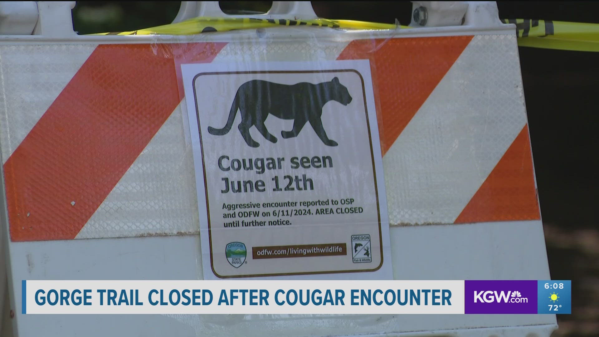 A popular hiking destination in the Columbia River Gorge is temporarily closed after reports of a cougar stalking a person on the trail.