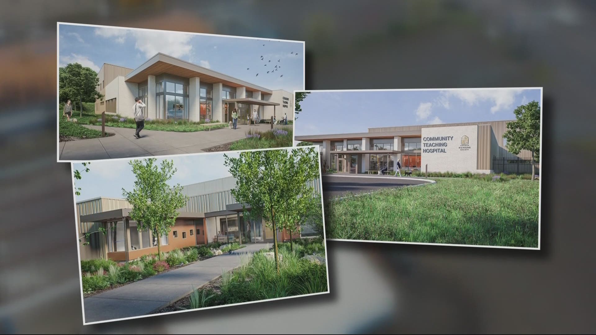 The Oregon Humane Society has begun work on its most ambitious expansion yet, so staff can help even more animals.