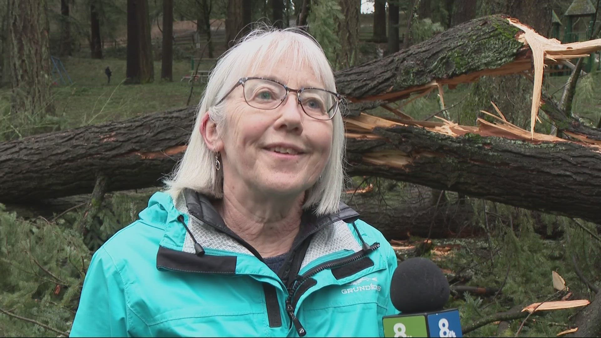 A long-standing picnic shelter was destroyed by one of the trees as a result of a week of damaging storms, according to Portland Parks and Recreation.