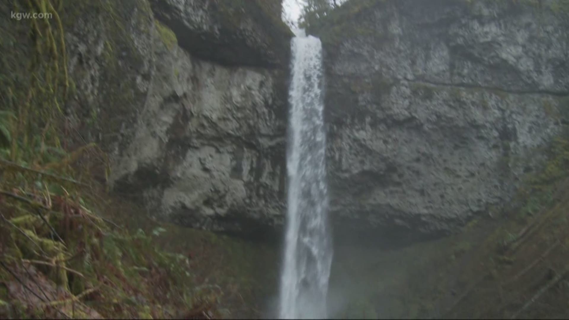Grant McOmie takes us to Oregon's Niagara Falls, tucked into the Coast Range in the Siuslaw National Forest.