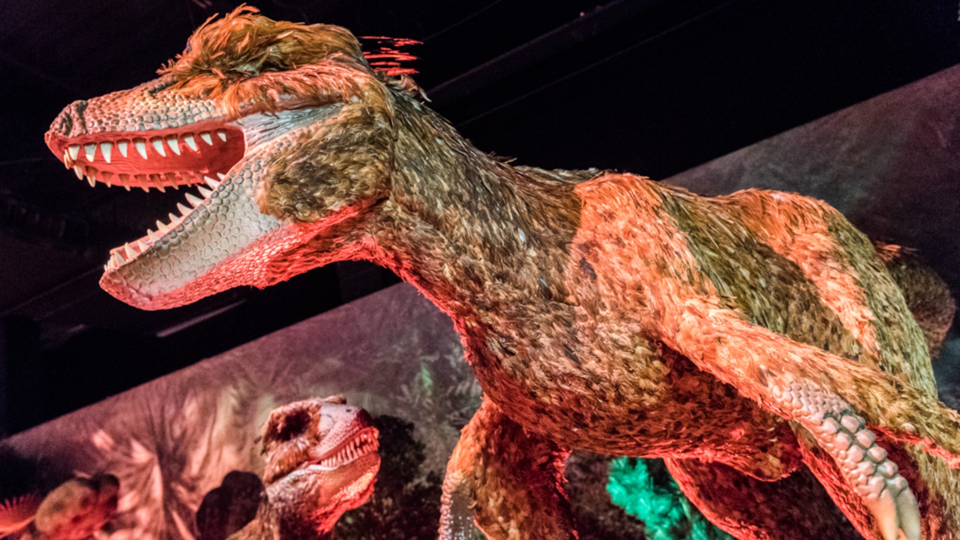 From dinosaurs at OMSI to aerial adventure courses, there are plenty of local activities for the whole family to enjoy.