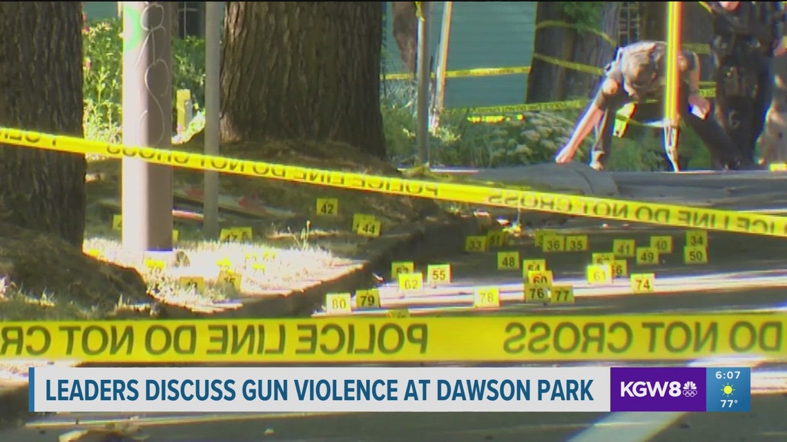 Black community leaders call for further action after Dawson Park ...