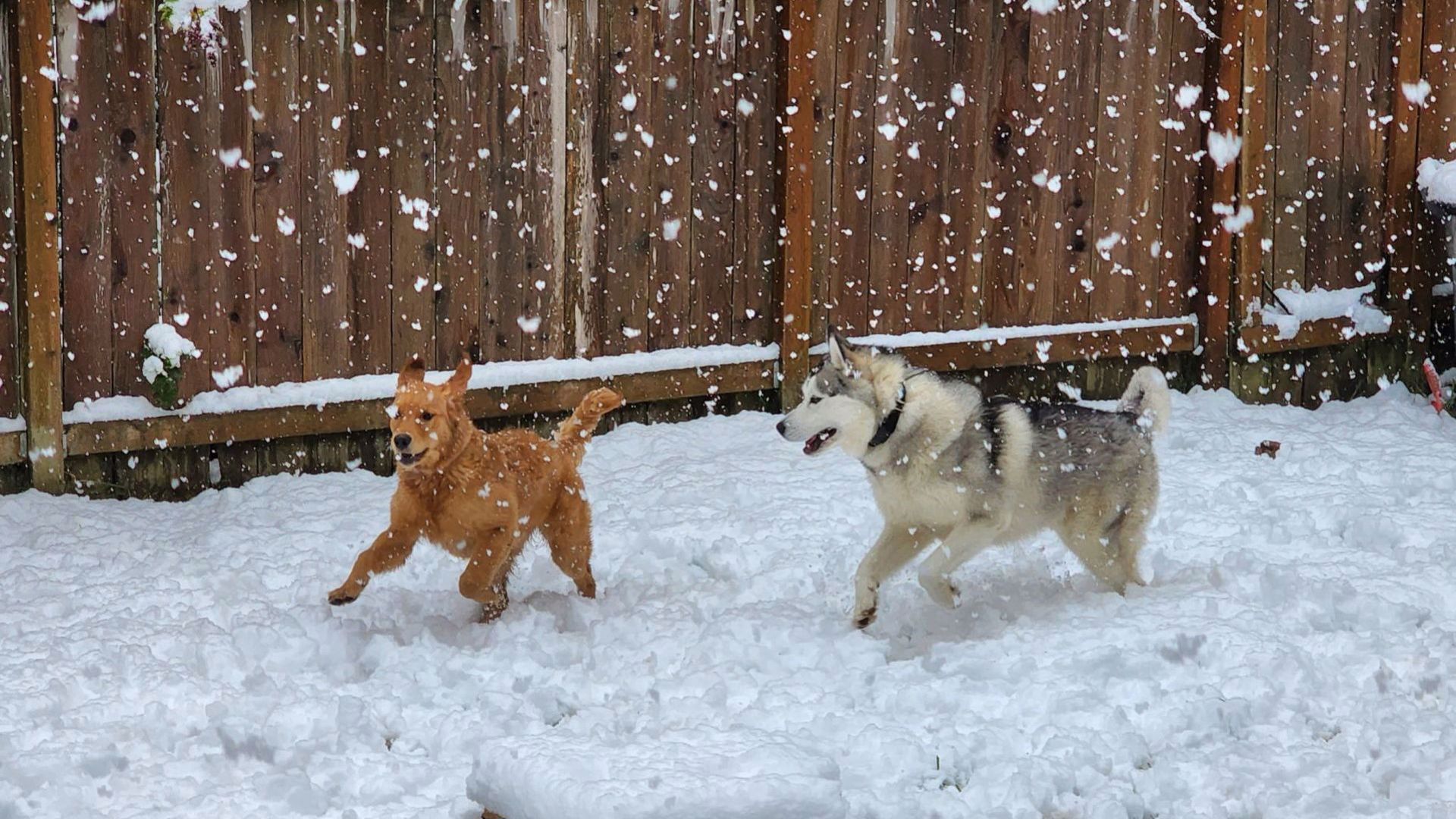 Snow in Portland in April: Here's what you need to know | kgw.com