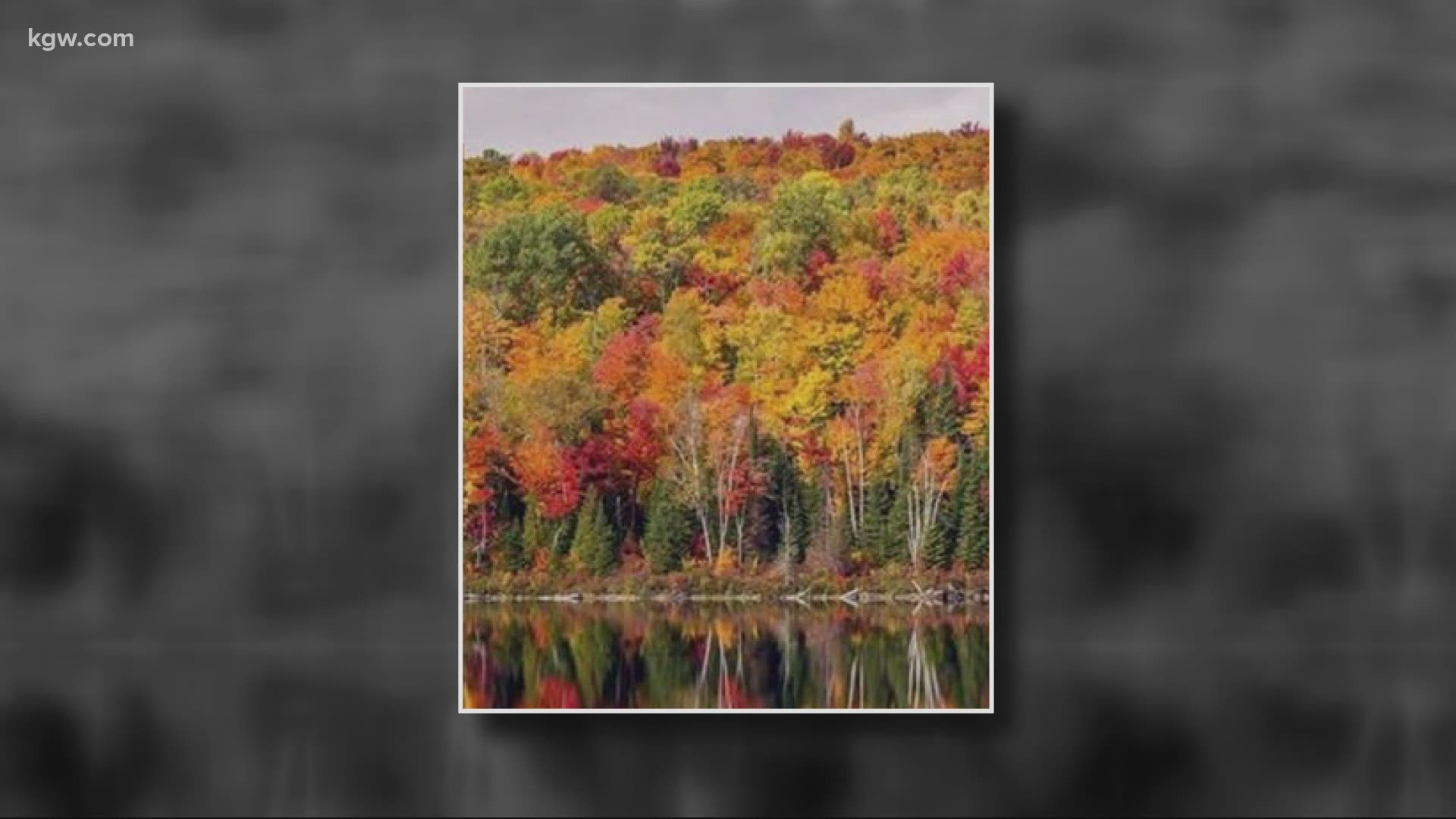 Visitors to Sandy can get a spectacular view of the fall colors on display, even if they happen to be colorblind.