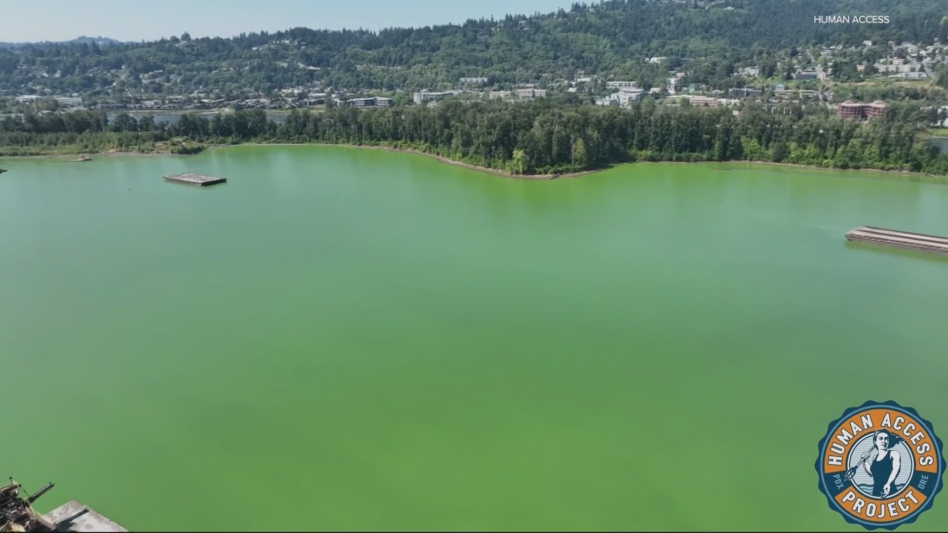 The Oregon Health Authority says it's now safe to enter the water in the Willamette Cove area, but the advisory is still in place for the Ross Island Lagoon area.