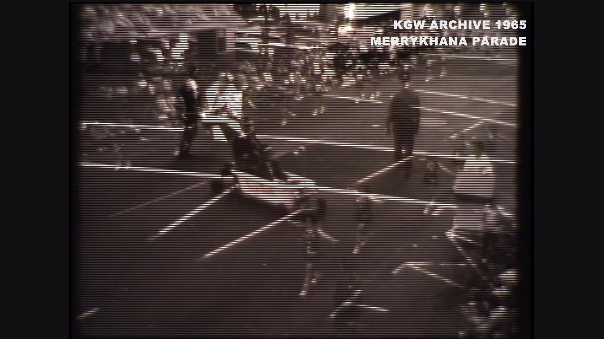 From the KGW archives: 1965 Rose Festival Merrykhana Parade