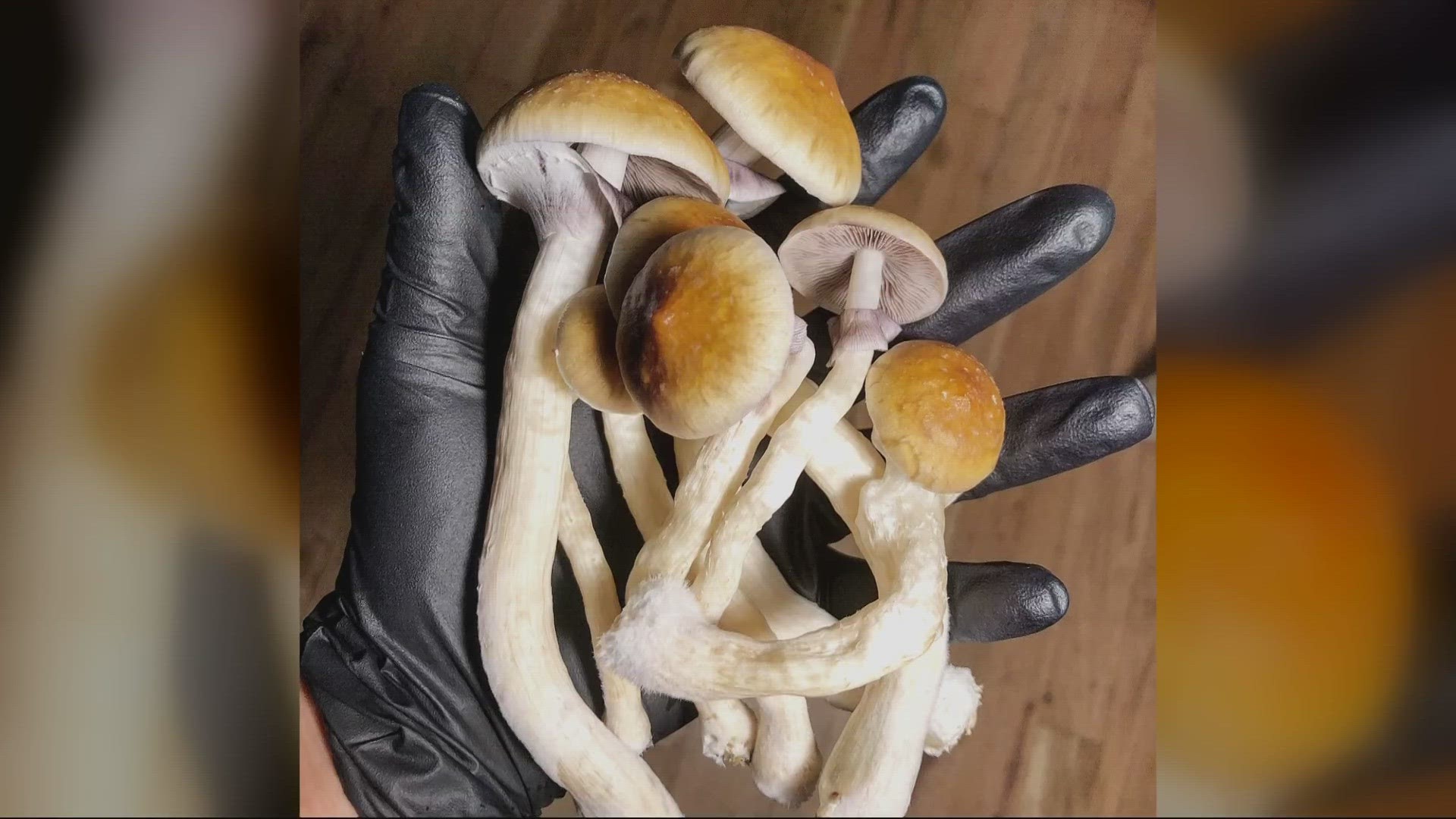 EPIC Healing Eugene is the first psilocybin service center licensed in the state and could start serving clients within weeks.